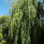 Liz'a Logis De Charme Vakantiehuis