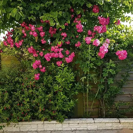 Liz'a Logis De Charme Holiday home Saint-Come-de-Fresne