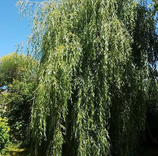 Liz'a Logis De Charme Casa vacanze