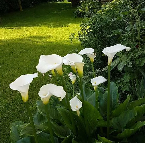 Liz'a Logis De Charme Дом отдыха Saint-Come-de-Fresne