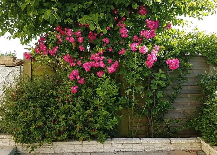 Liz'a Logis De Charme Casa vacanze Saint-Côme-de-Fresné